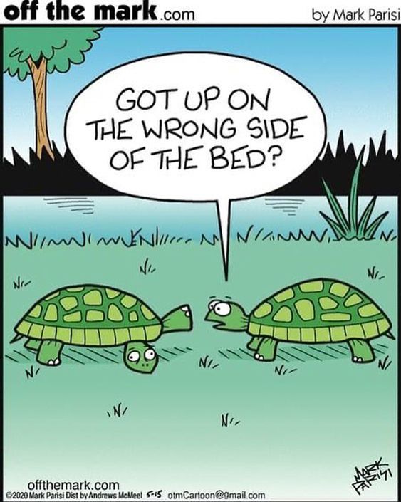These 20 funniest single panel comics like far side will britten your day