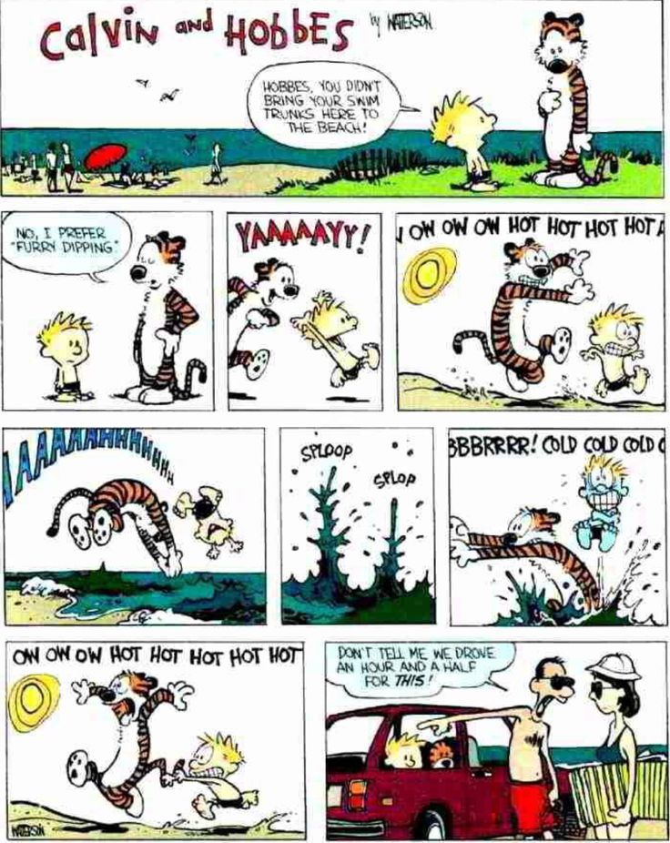 These 10 Greatest Calvin And Hobbes Comics Make Your Day - The Far Side ...